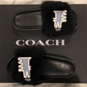 Coach x Keith Haring slides